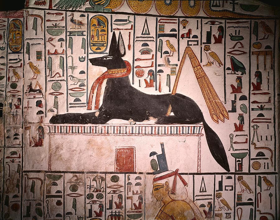 Anubis Guardian of the Afterlife