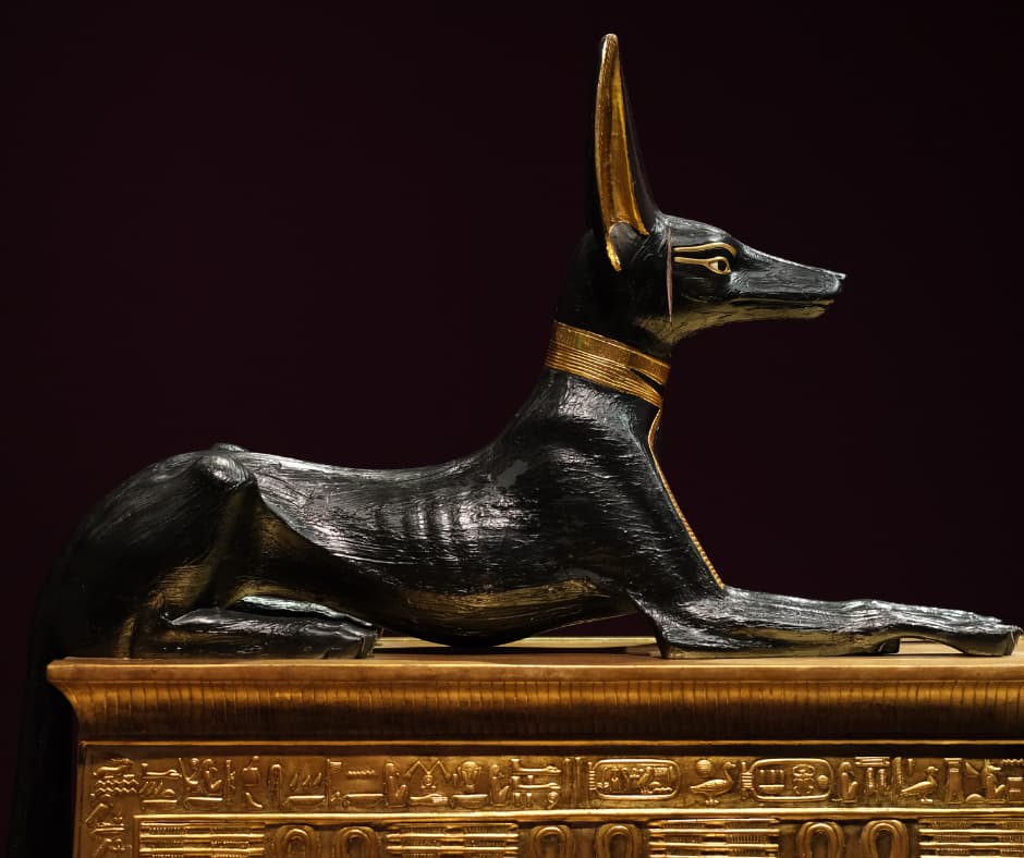 Anubis Guardian of the Afterlife
